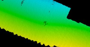 Piper Cherokee Six 1m Digital Terrain Model.